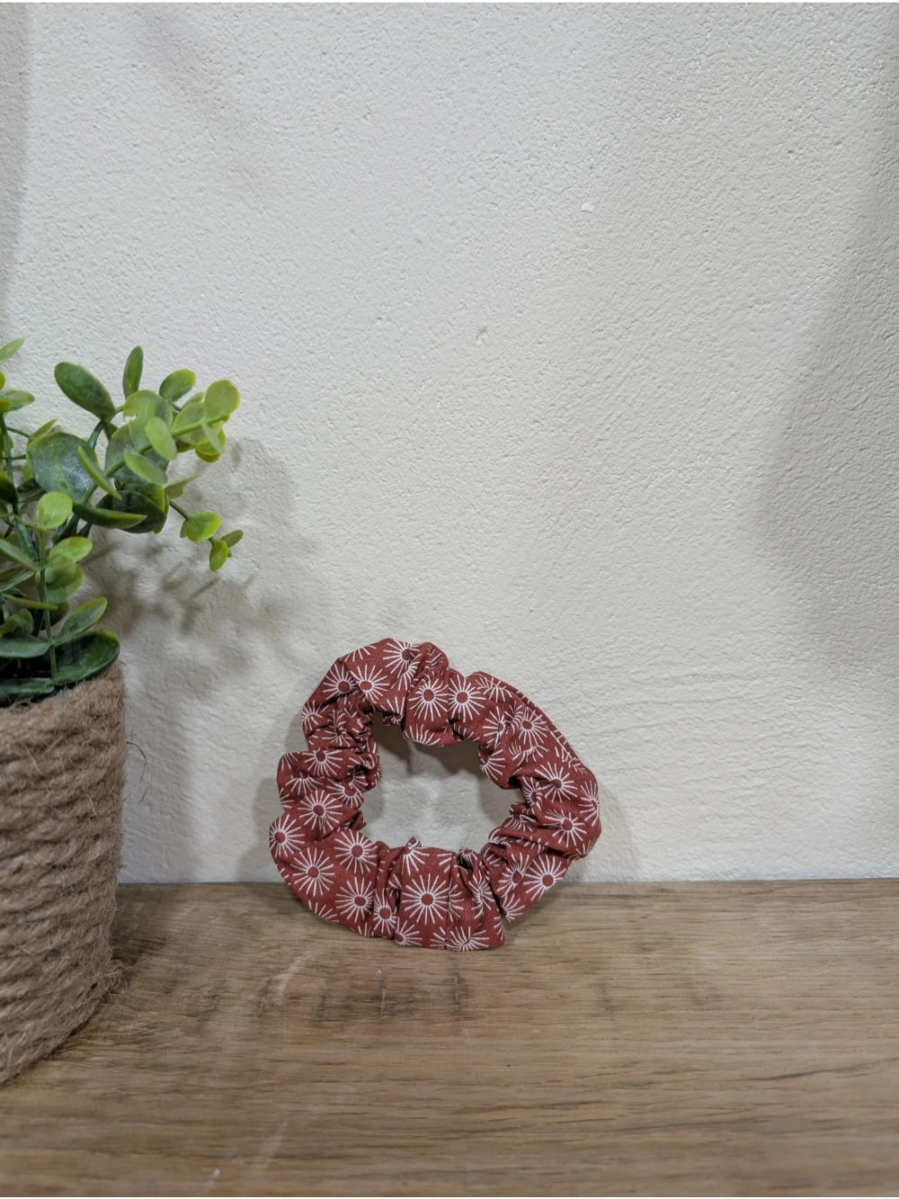 Koletero eguzki teja