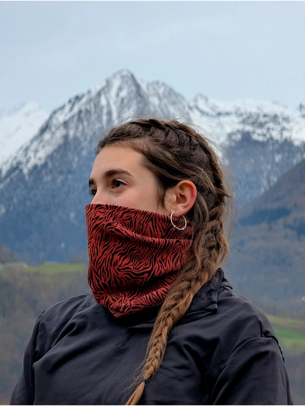 Helduen lepokoa zebra teja